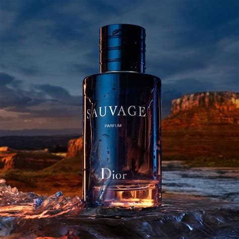 1.4 l dior sauvage|Dior Sauvage perfume cheapest price.